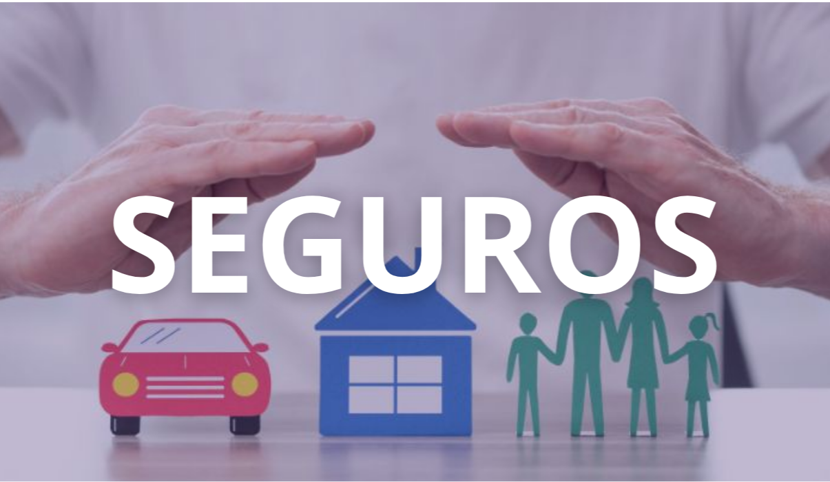 SEGUROSS.png