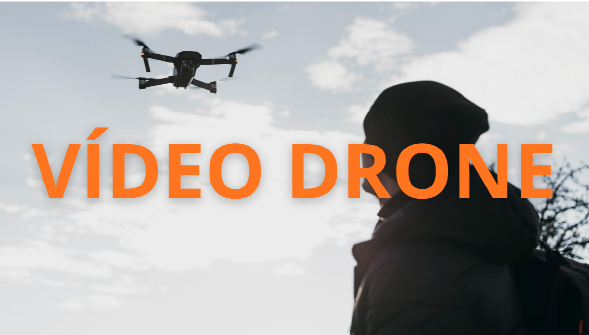 VIDRONE.png